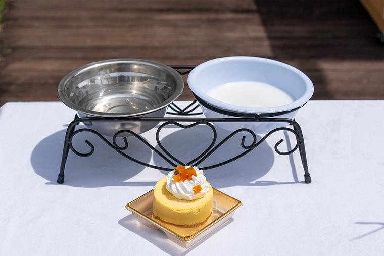 HOTEL ACAO　ドッグラン