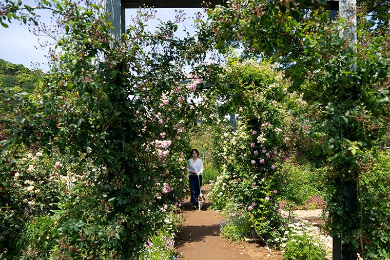 HOTEL ACAO　ACAO FOREST