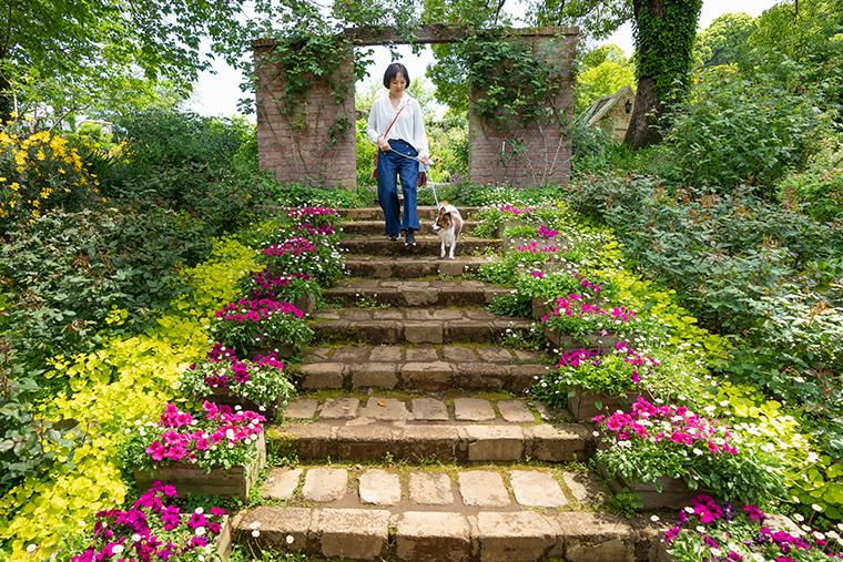 HOTEL ACAO　ACAO FOREST