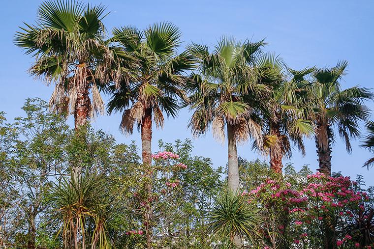 ハイアット リージェンシー 東京ベイ