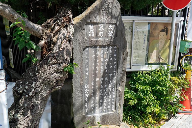 鎌倉　13人　ドラマ　ゆかりの地