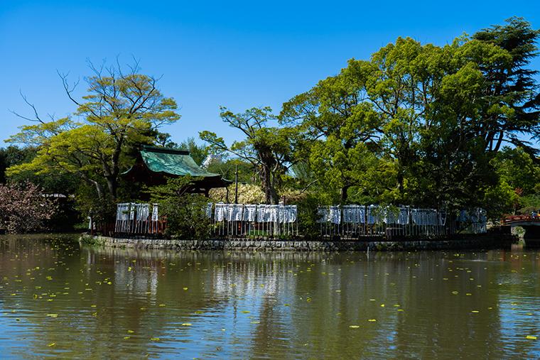 鎌倉　13人　ドラマ　ゆかりの地　鶴岡八幡宮