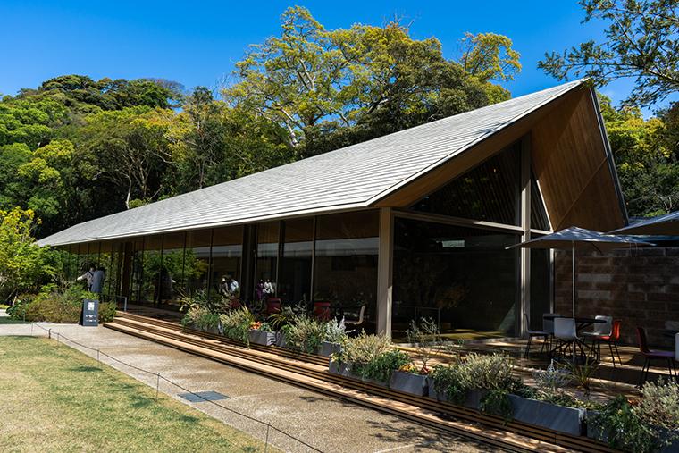 鎌倉　13人　ドラマ　ゆかりの地　鶴岡八幡宮　カフェ&ショップ