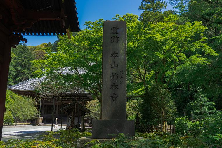 鎌倉　13人　ドラマ　ゆかりの地　妙本寺