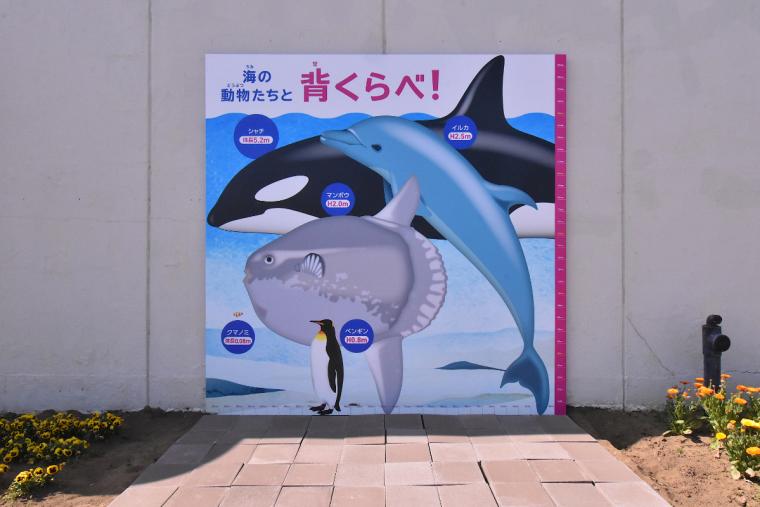 記念写真用パネル