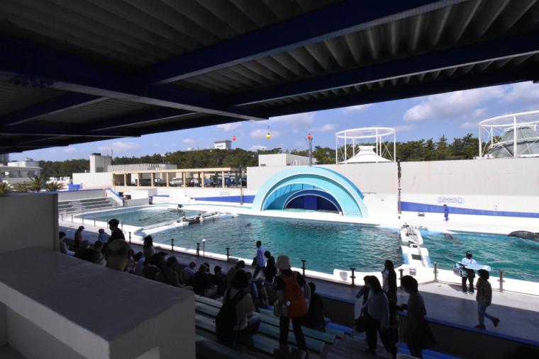 サーフスタジアム