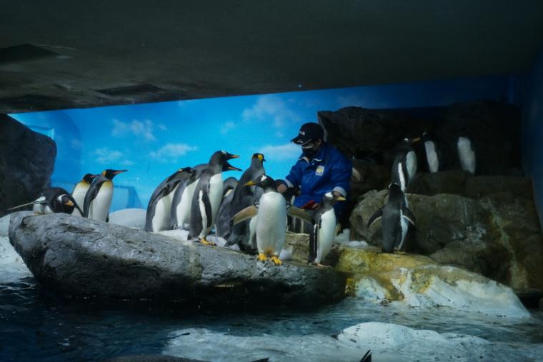 「フィーディングタイム」