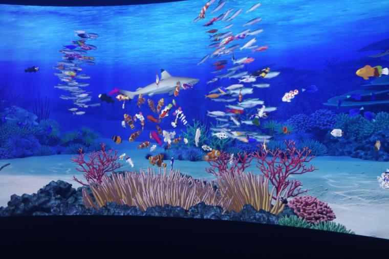 トロピカルアイランドのデジタル水槽