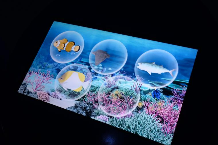 クマノミをデザイン