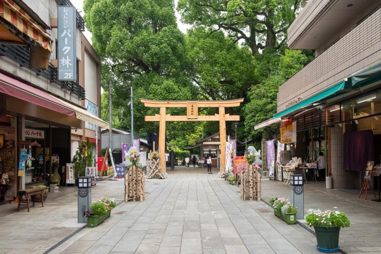 熊本城周辺の名所やグルメを気軽に満喫！市電1日乗車券でめぐるモデルコース