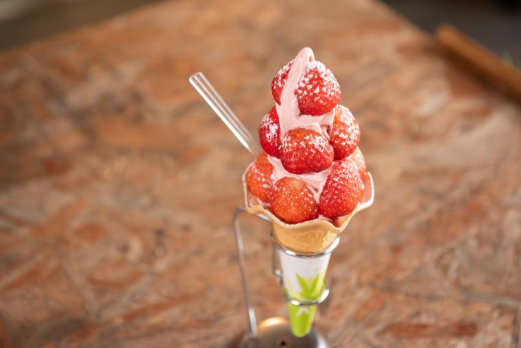 熊本城周辺の名所やグルメを気軽に満喫！市電1日乗車券でめぐるモデルコース