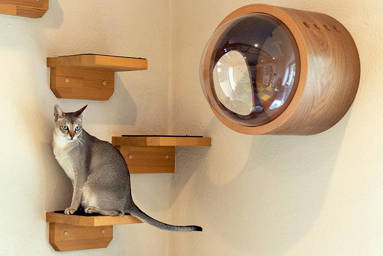 ルーシーキキ 子連れグランピング