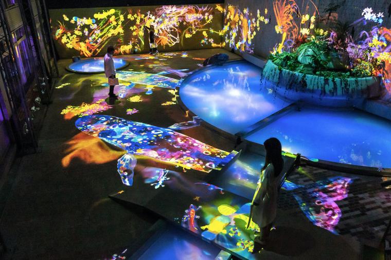 チームラボ　アート展　チームラボ かみさまがすまう森