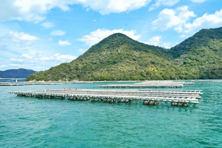 船上から望むカキの養殖いかだ