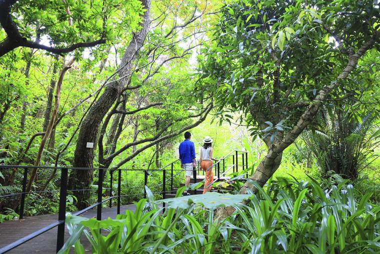 ザ・リッツ・カールトン沖縄 やんばるの森