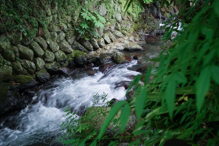 熱海の自然に包まれる「ふふ 熱海」で贅沢な温泉旅