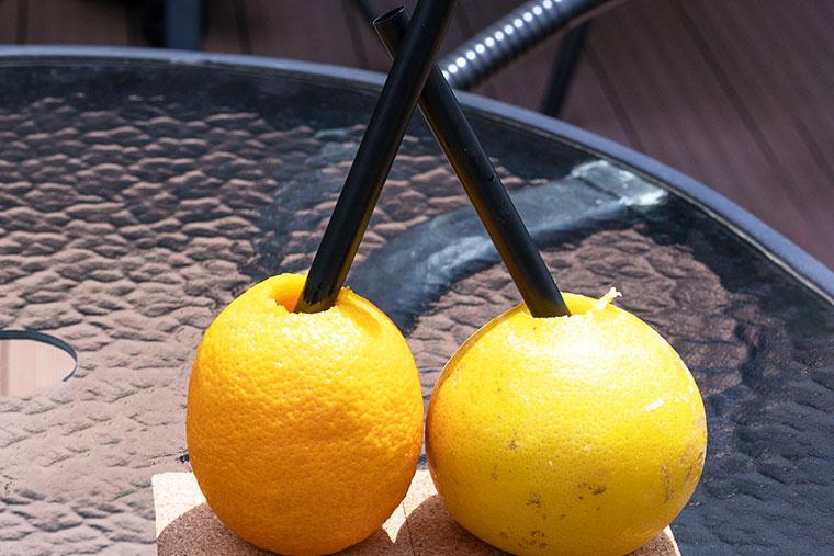 旅の駅 kawaguchiko base