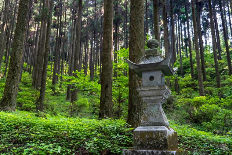 上色見熊野座神社