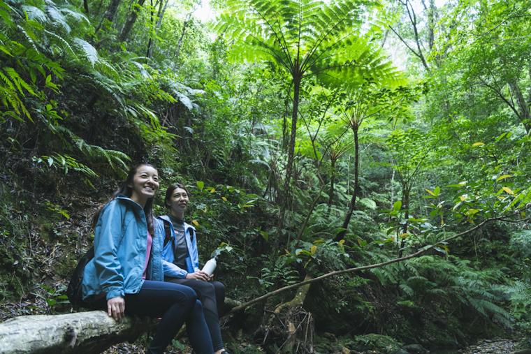 ハレクラニ沖縄 エスケープ　やんばるの自然の息吹に触れる