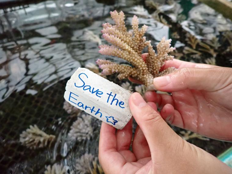 手に持つのはサンゴの苗。サンゴ保全のための苗づくり体験ができます