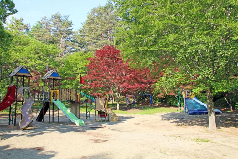 河口湖総合公園の遊具