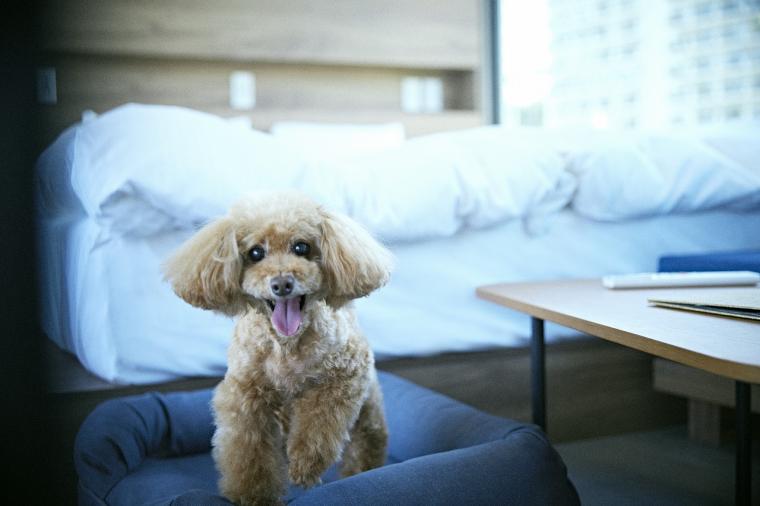 近未来型デザインのトレーラーホテル「SPACE KEY POINT」