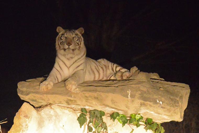 那須サファリパーク