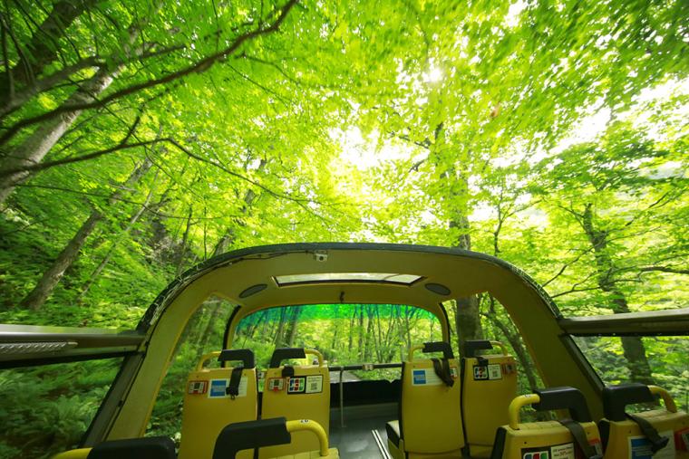 星野リゾート 奥入瀬渓流ホテル オープンバスツアー