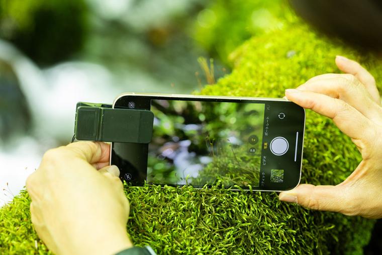 星野リゾート 奥入瀬渓流ホテル 苔さんぽ