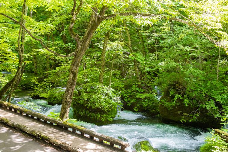 星野リゾート 奥入瀬渓流ホテル オープンバスツアー