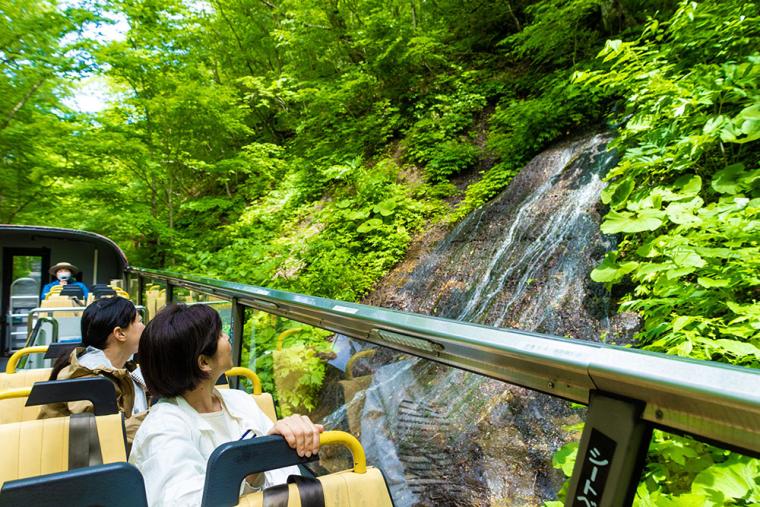 星野リゾート 奥入瀬渓流ホテル オープンバスツアー