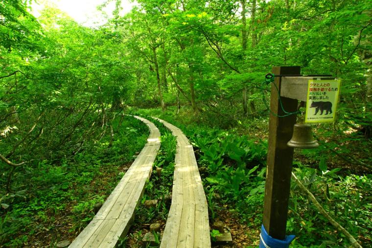 尾瀬ハイキング