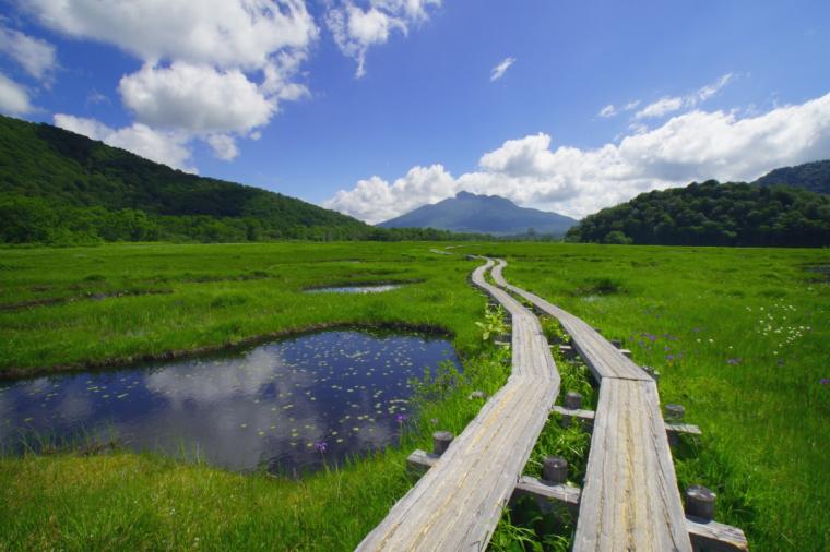 尾瀬ハイキング