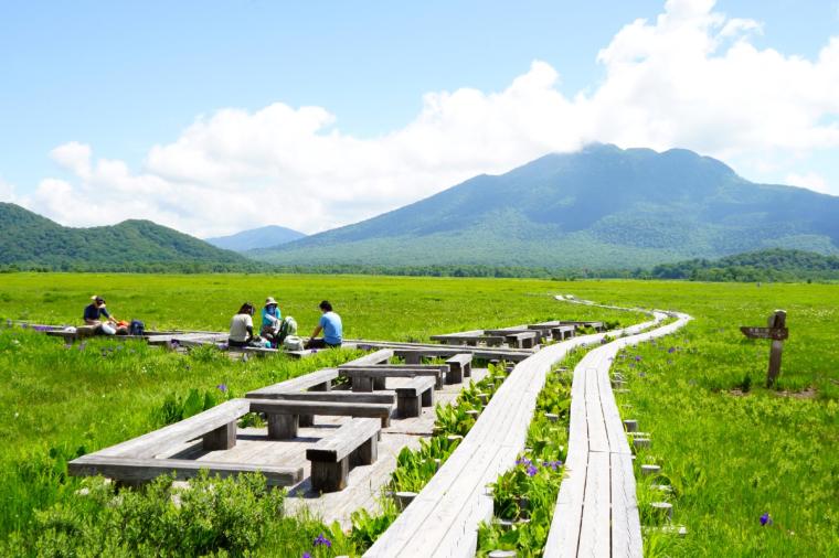 尾瀬ハイキング