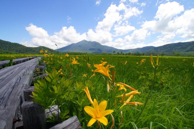尾瀬ハイキング