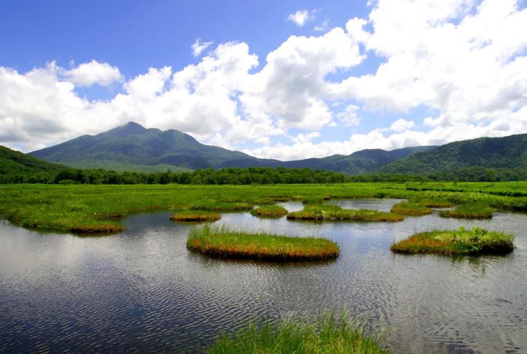 尾瀬ハイキング