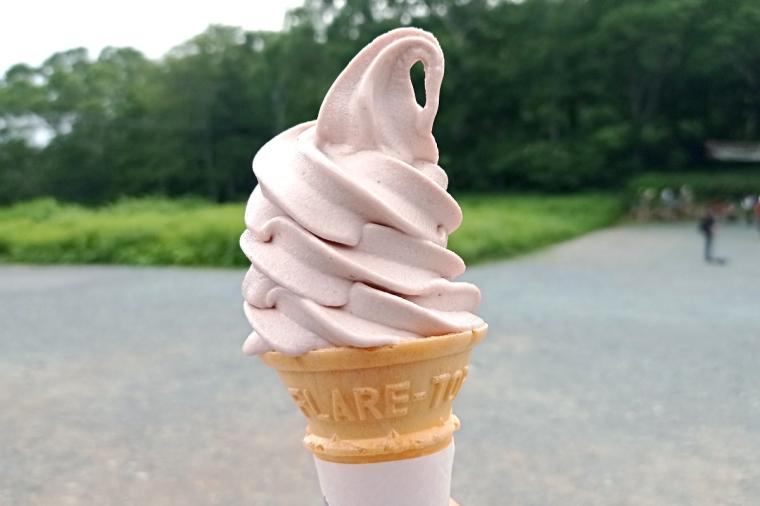 尾瀬ハイキング