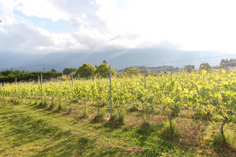 星野リゾート　リゾナーレ八ヶ岳