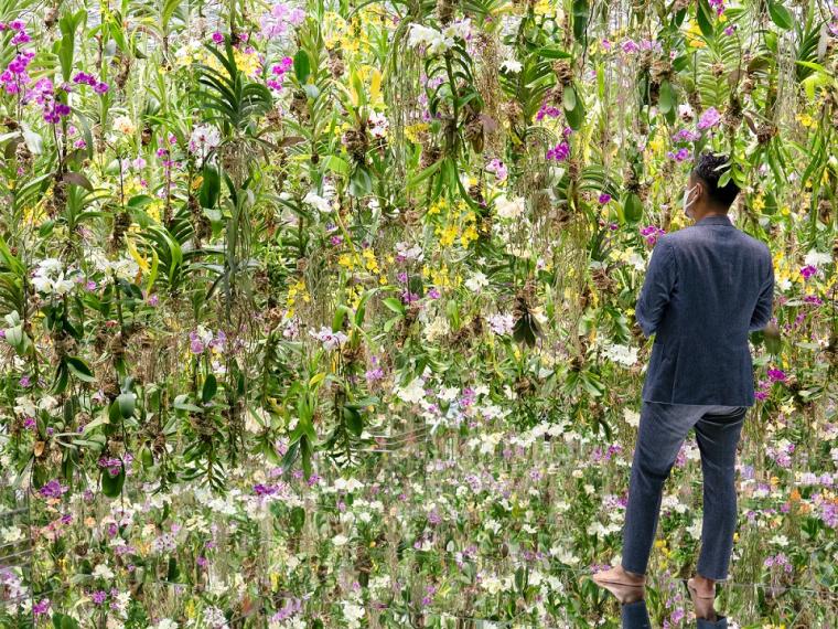 チームラボプラネッツTOKYO