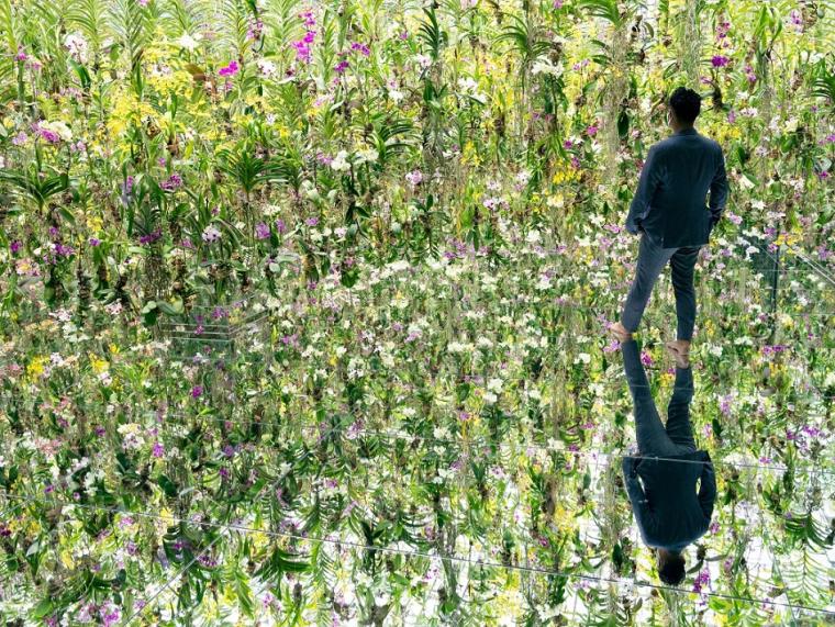 チームラボプラネッツTOKYO