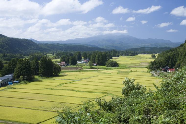 骨寺村荘園遺跡