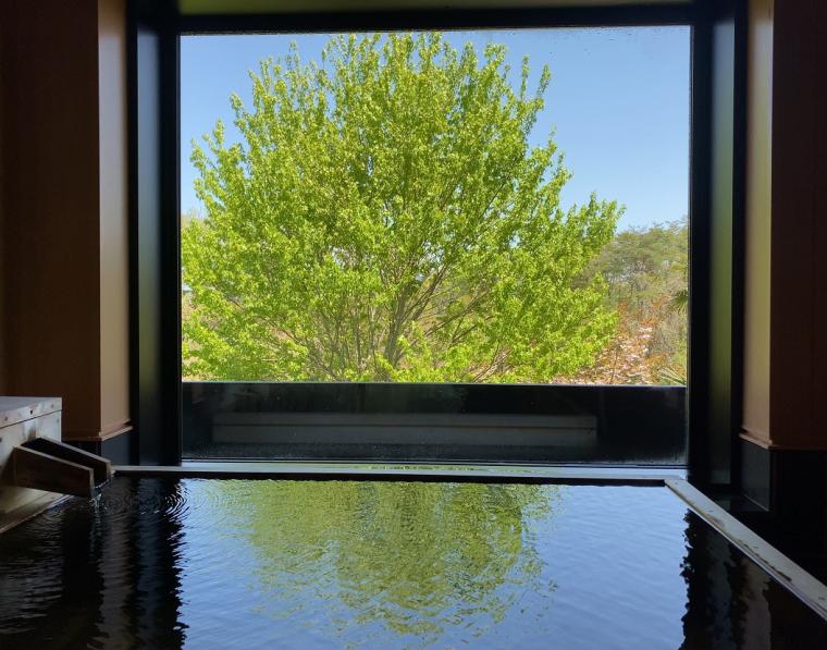 ～世界遺産の隠れ宿～果実の森