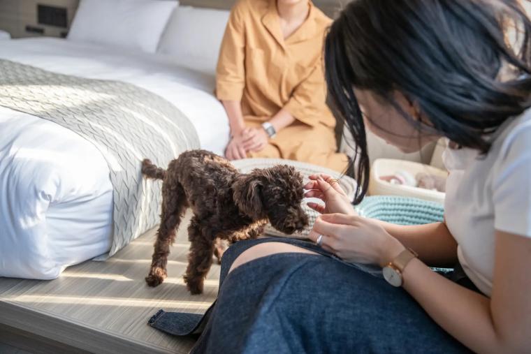 愛犬と利用できるペットフレンドリールーム