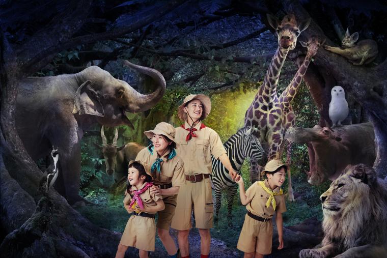 ナイトZOOイメージ図