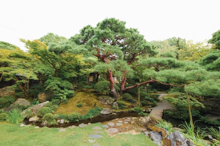 南禅寺参道　菊水