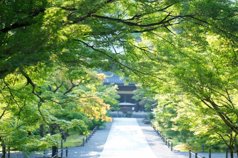 南禅寺参道　菊水