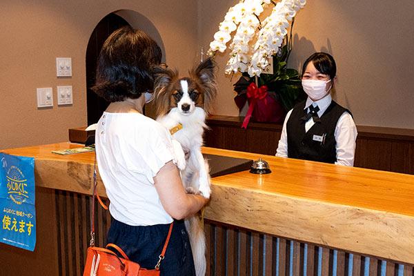 ラ・ドッグリゾート