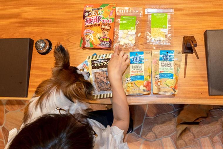 ラ・ドッグリゾート