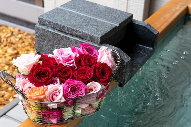 ラ・ドッグリゾート