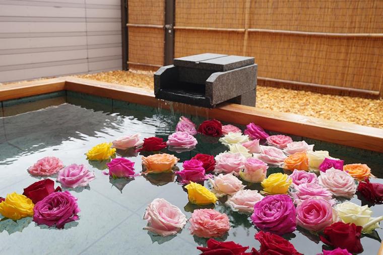 ラ・ドッグリゾート